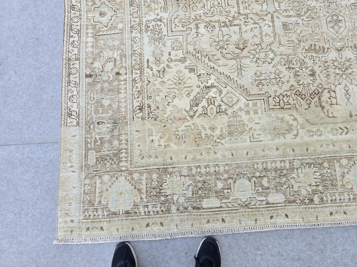 9x12 Neutral  Turkish Arean Rug Hand Knotted Vintage // 9.3x12.20 feet