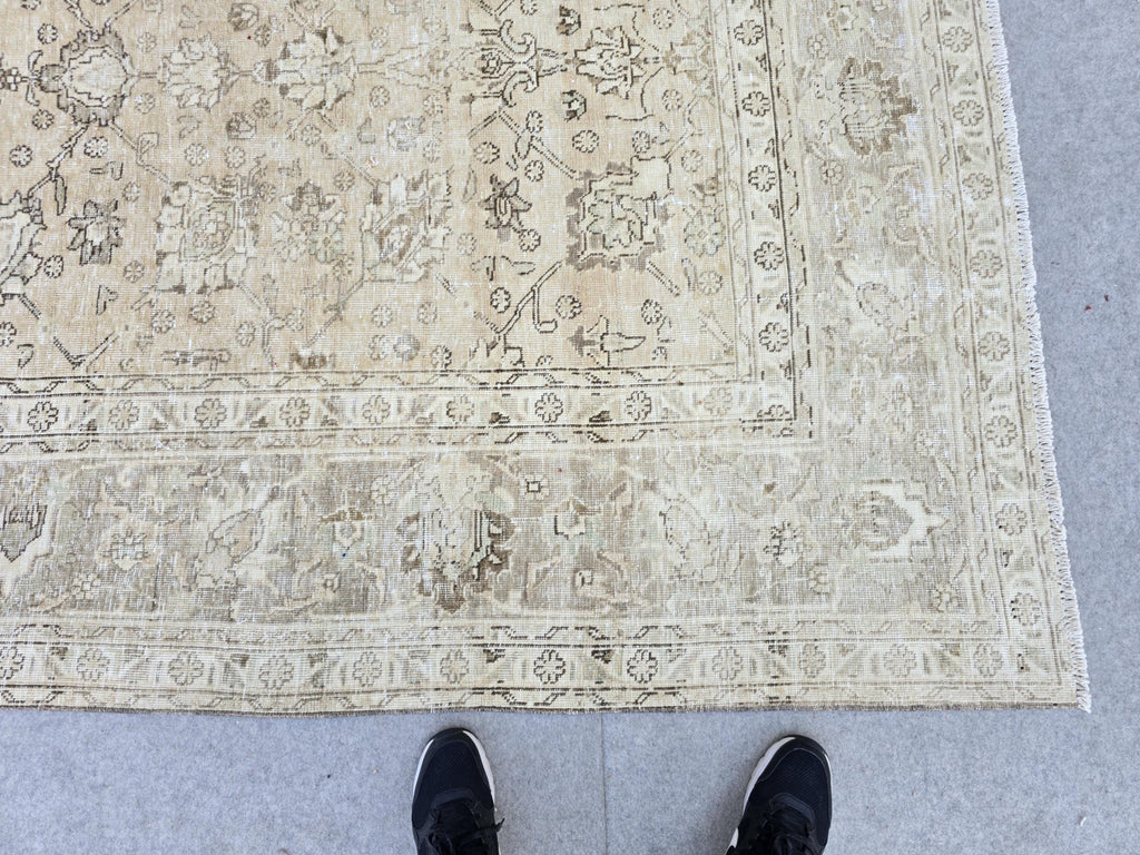 Turkish 9x12 Oushak Rug Neutral : Muted Vintage Wool Carpet  (9.3x12.4 ft)