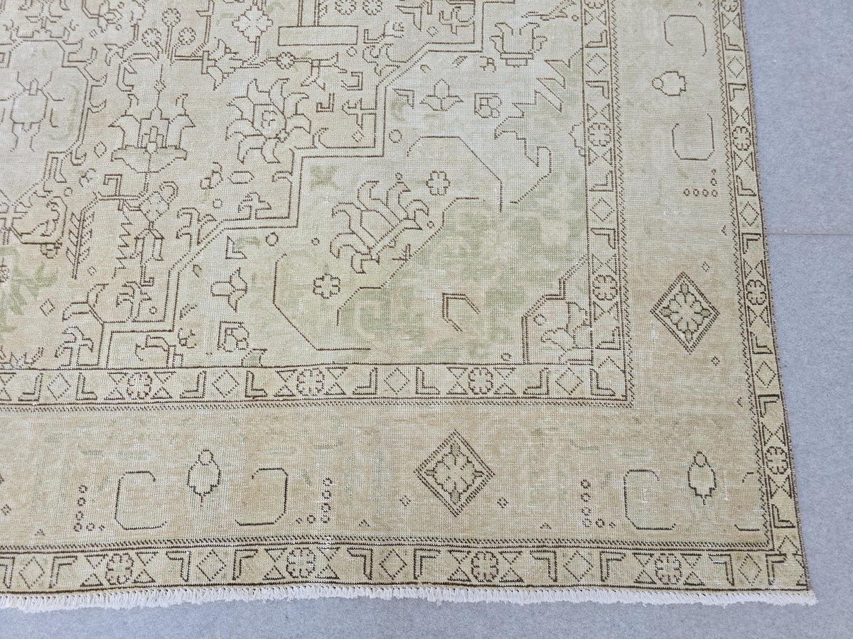 9x13 Oushak Area Rug : Neutral Vintage Oversize Carpet