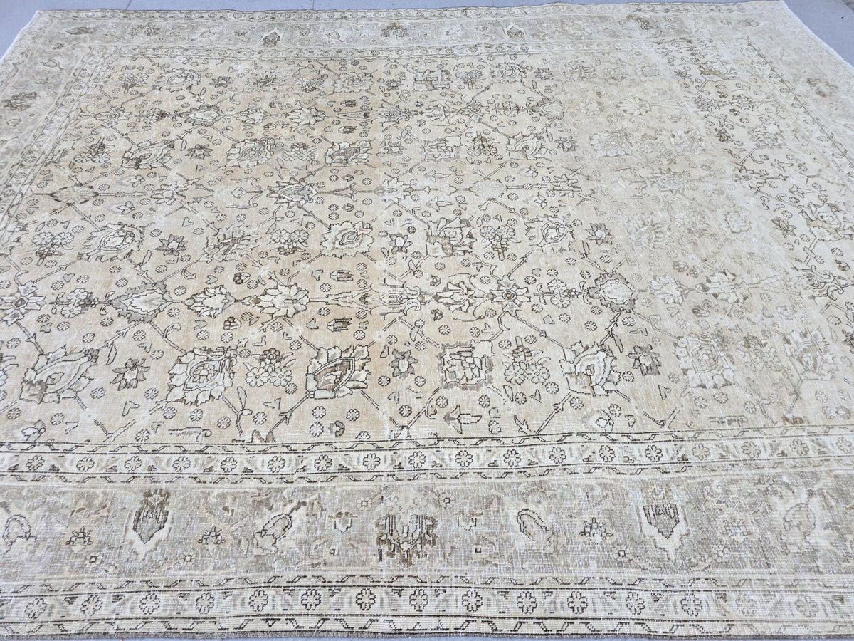 Turkish 9x12 Oushak Rug Neutral : Muted Vintage Wool Carpet  (9.3x12.4 ft)
