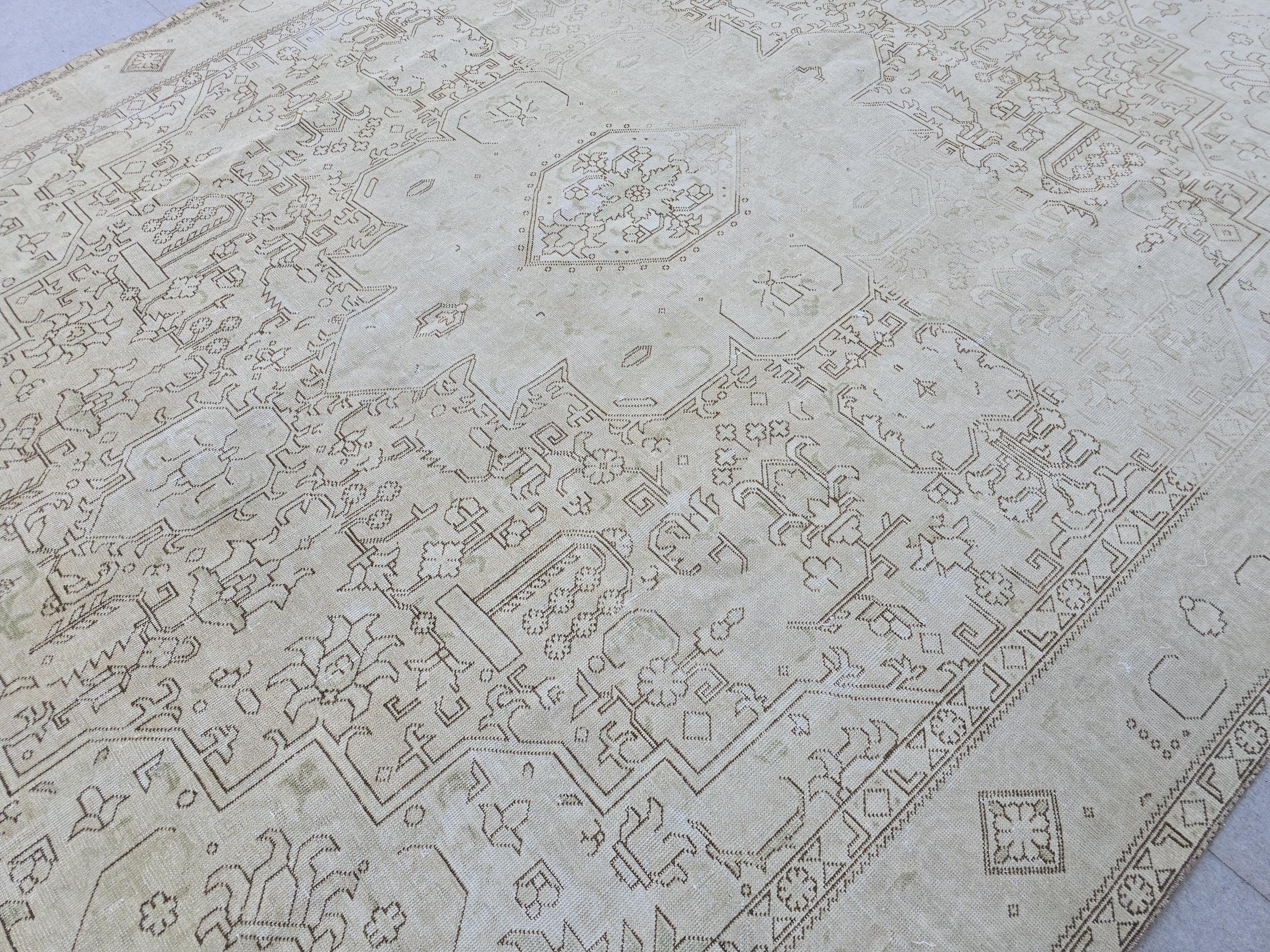 9x13 Oushak Area Rug : Neutral Vintage Oversize Carpet