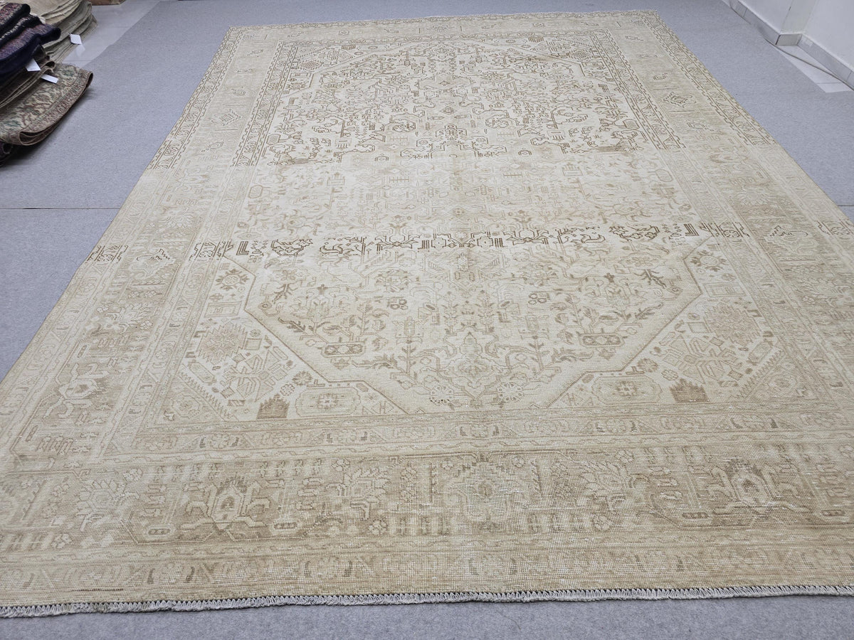 Oushak Rug 9x12, Antique Beige Medallion Wool Carpet, Muted Tan Hand Knotted Vintage Area Rug for Office or Living Room