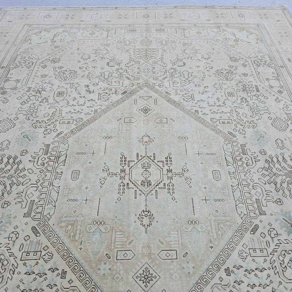 Neutral Anatolian Rug 9x12 Ivory Aqua Medallion Hand Knotted Vintage Wool