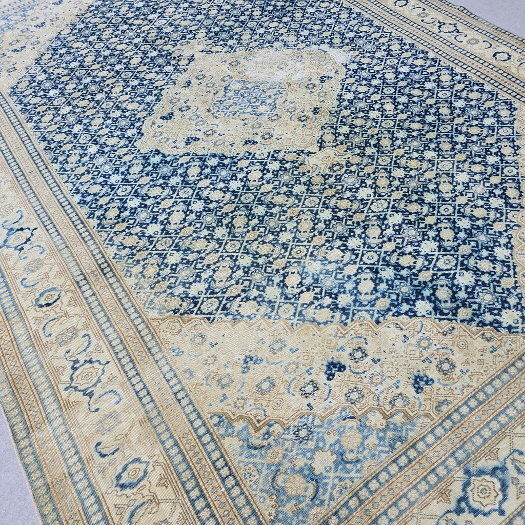 Oushak Rug 9x12 Beige Blue Medallion Antique Turkish Carpet Hand Knotted Oriental Living Room