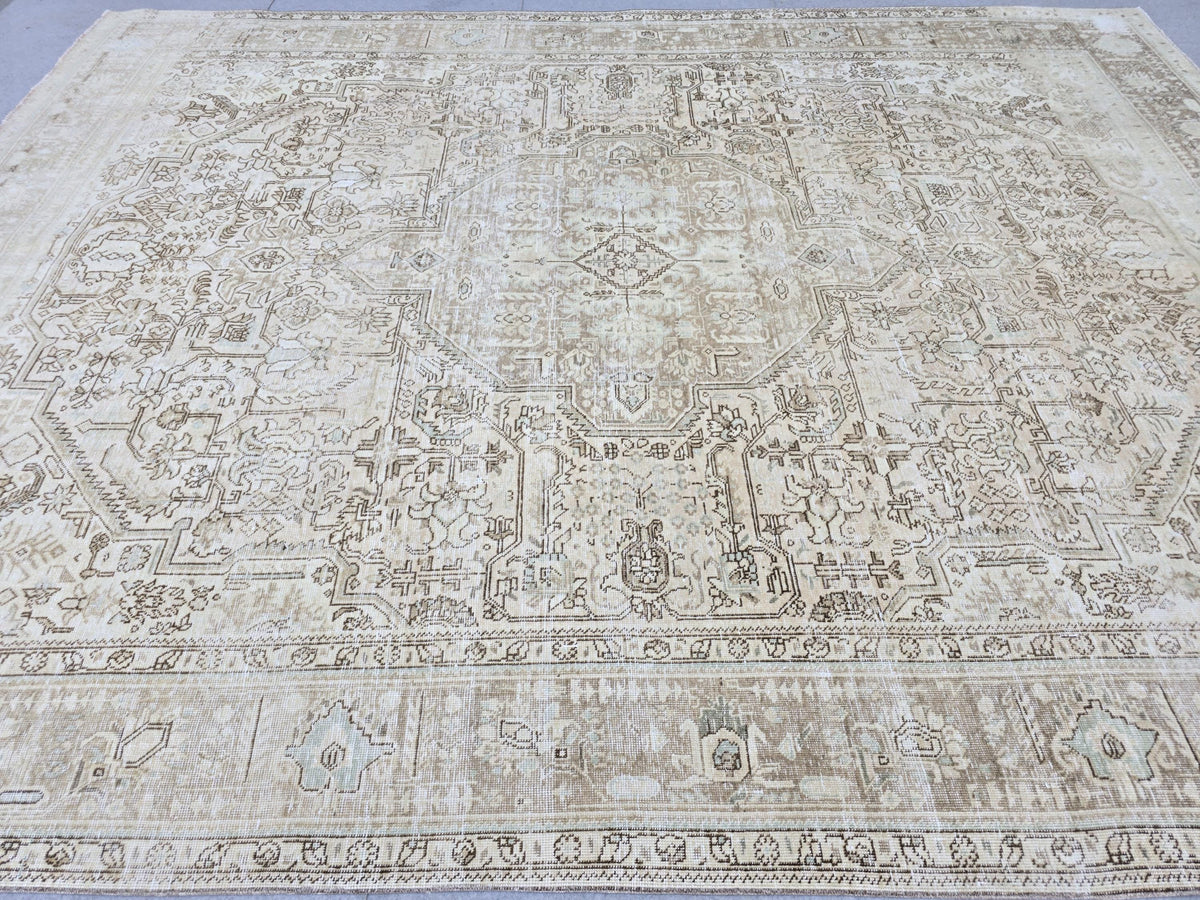 9x12 Neutral  Turkish Arean Rug Hand Knotted Vintage // 9.3x12.20 feet