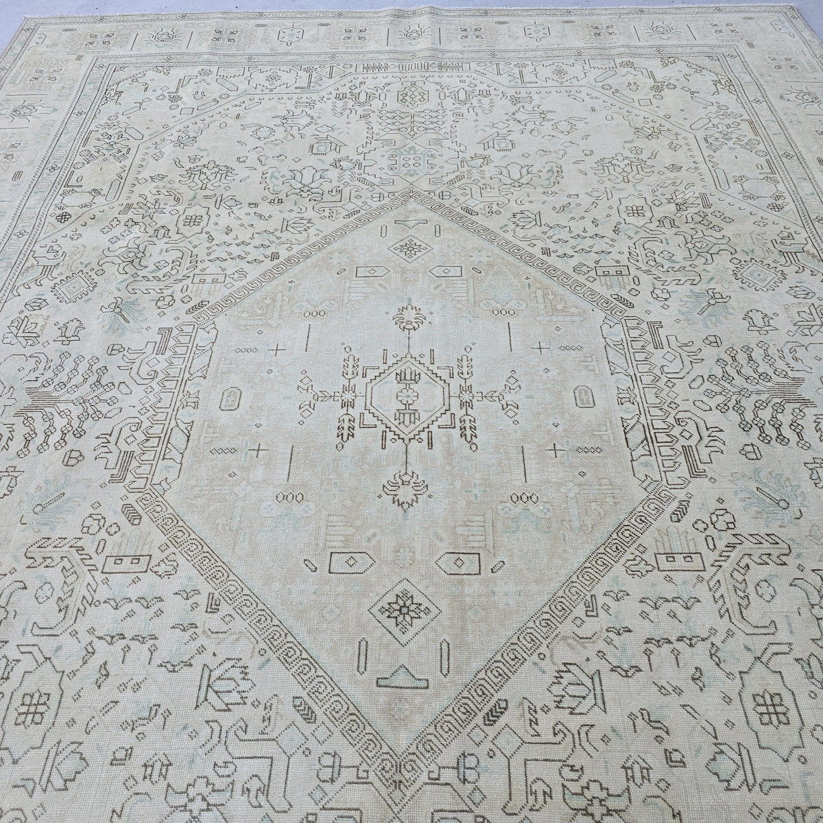 Neutral Anatolian Rug 9x12 Ivory Aqua Medallion Hand Knotted Vintage Wool