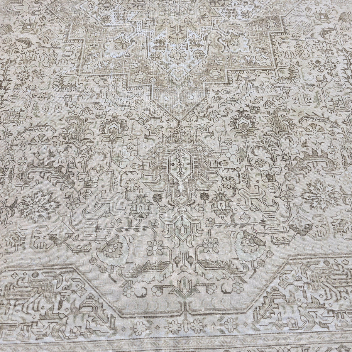 Vintage Rug 9x12 : Hand Knotted Wool Neutral Turkish Oushak Carpet