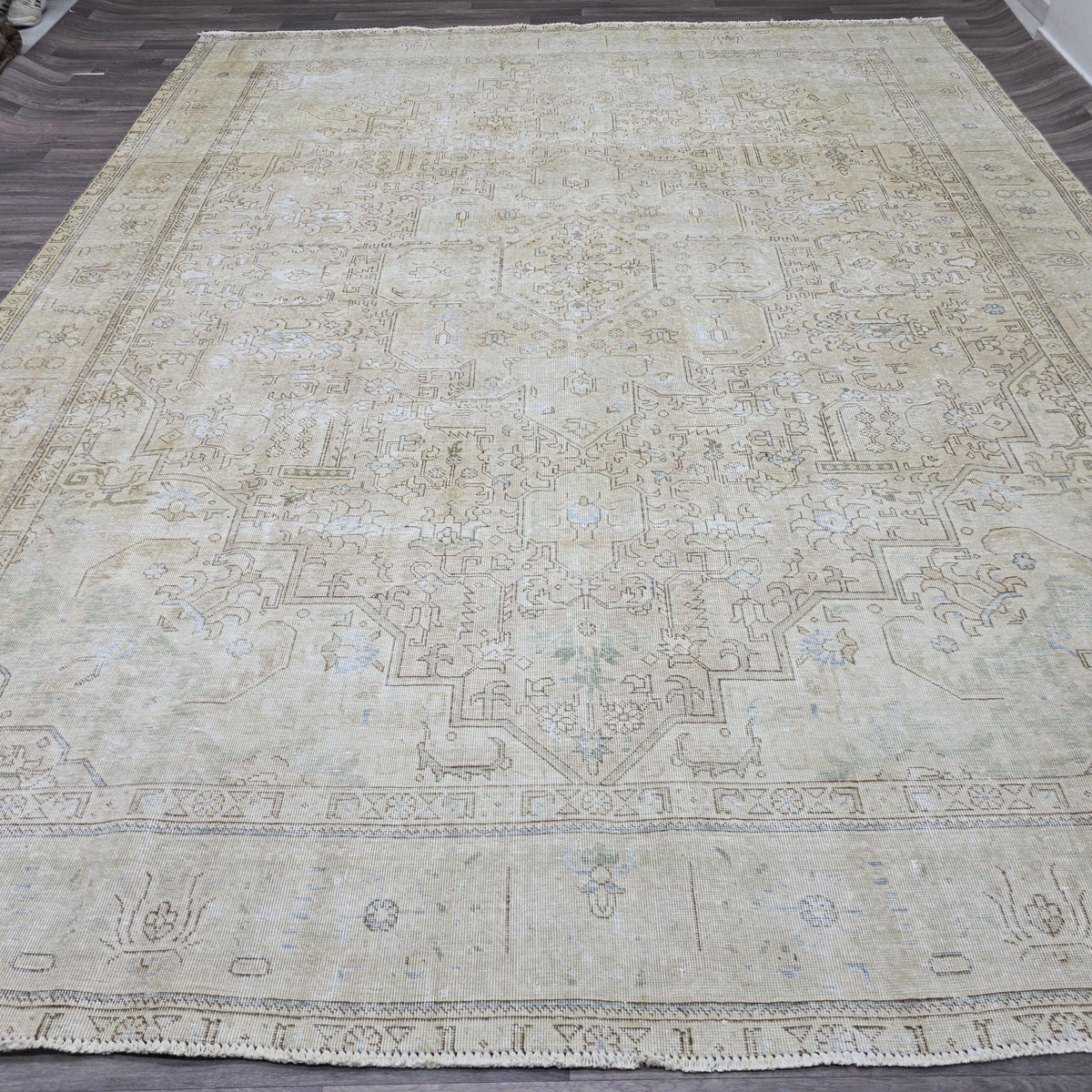 Large Anatolian Rug 10x12 Vintage Medallion Neutral Area Rug Living Room Decor