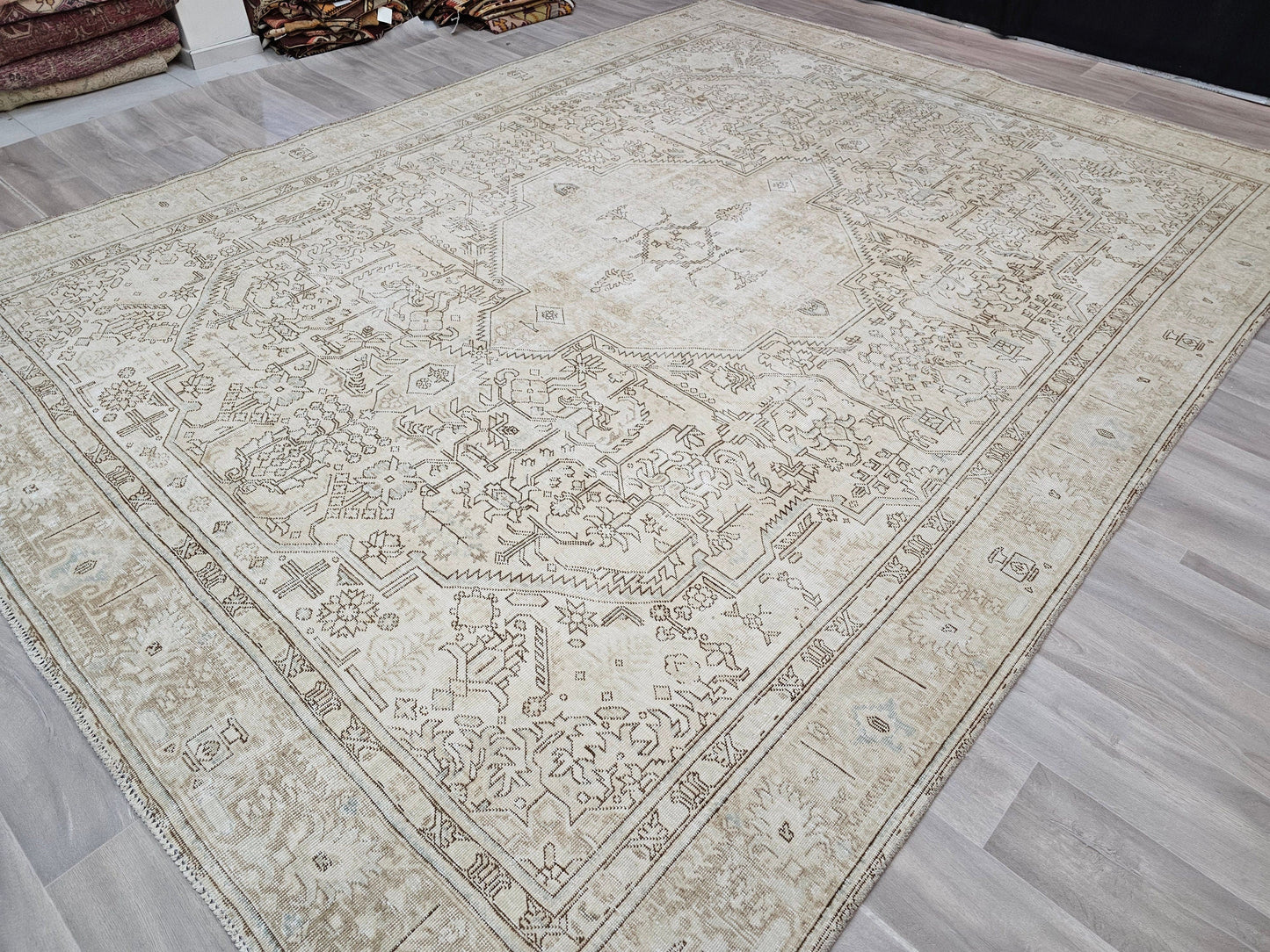 9.5x12.5 feet  Neutral Vintage Area Rug for Livingroom - 9 by 12 Persian Design Rug for Bedroom - Boho Area Rug