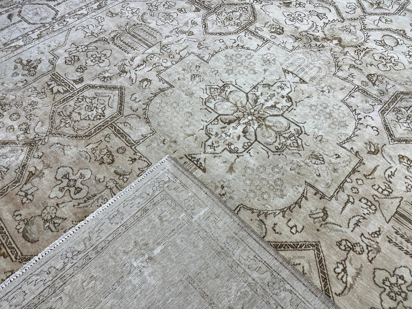 10x12 Vintage Neutral Area Rug