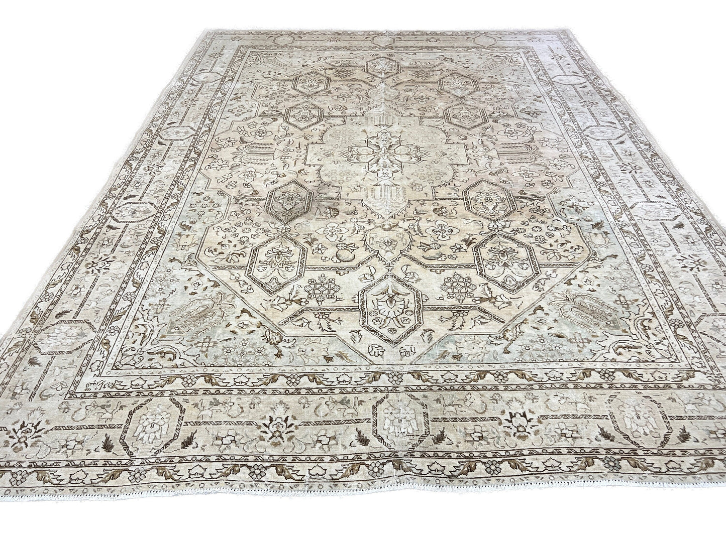 10x12 Vintage Neutral Area Rug