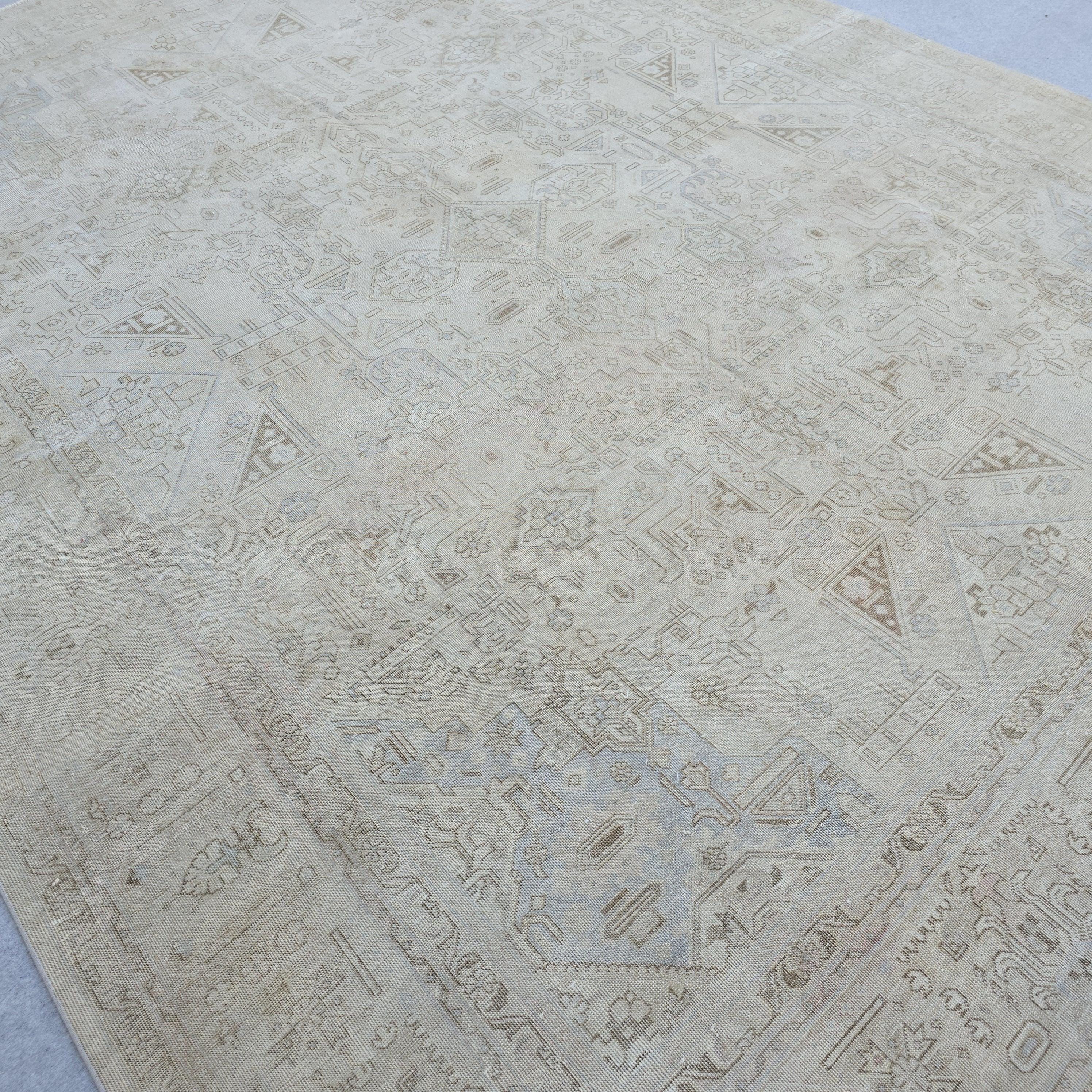 9'5" x 12'4" Classic Vintage Muted Beige, Cream Taupe Brown Soft Powder Blue