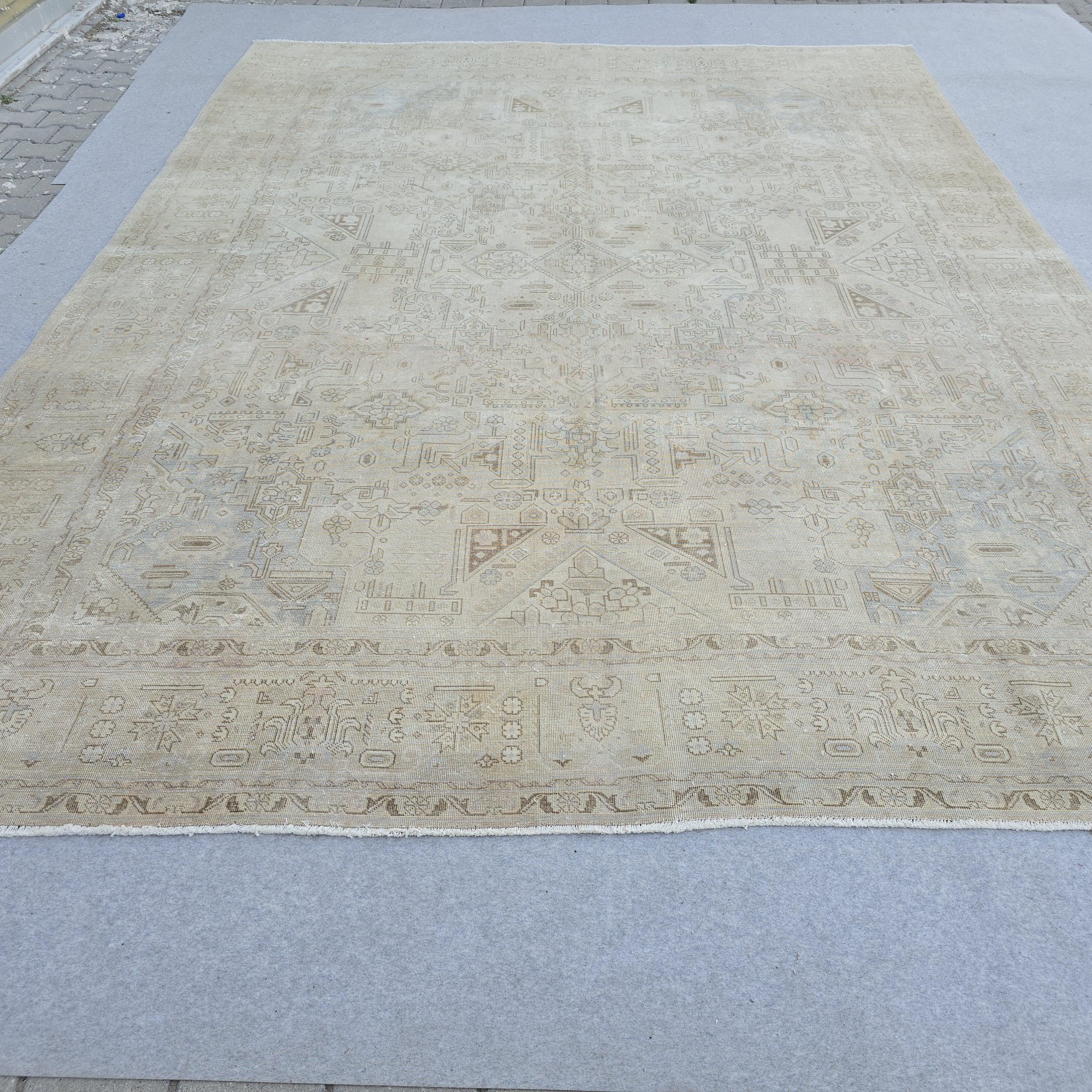 9'5" x 12'4" Classic Vintage Muted Beige, Cream Taupe Brown Soft Powder Blue