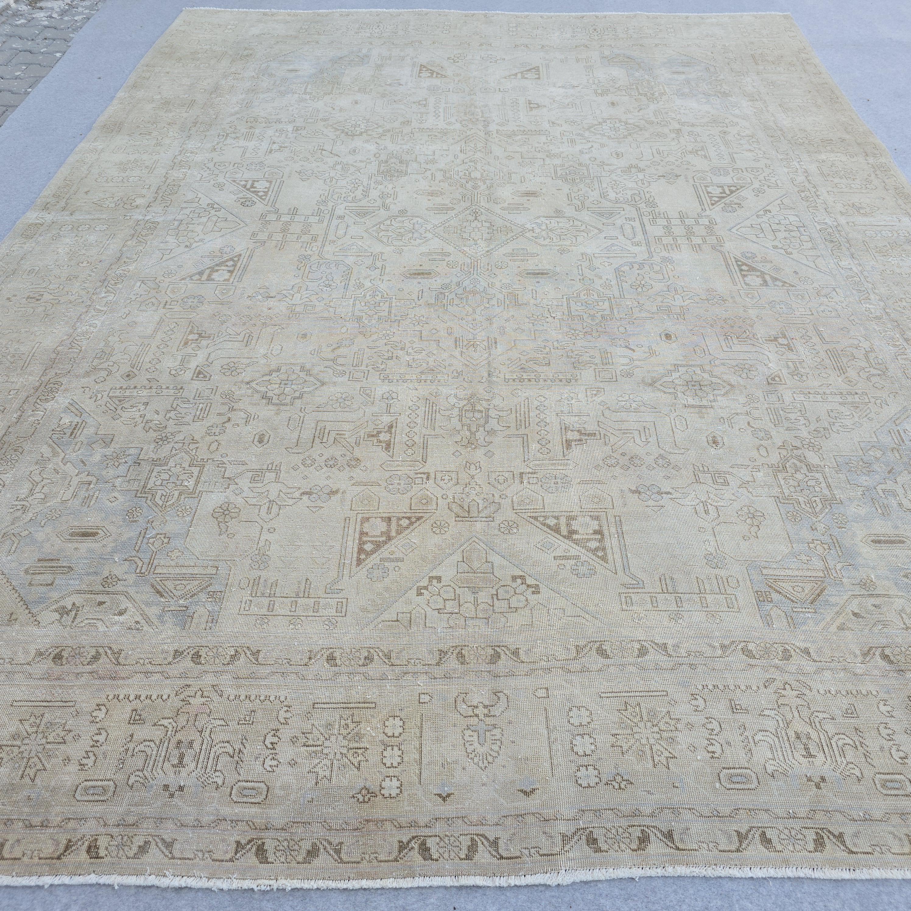 9'5" x 12'4" Classic Vintage Muted Beige, Cream Taupe Brown Soft Powder Blue