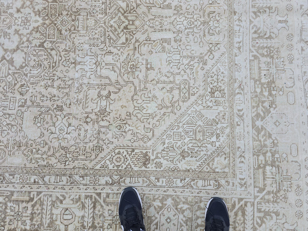 8x11 Neutral Turkish Oushak Rug: Hand-Knotted Wool & Cotton