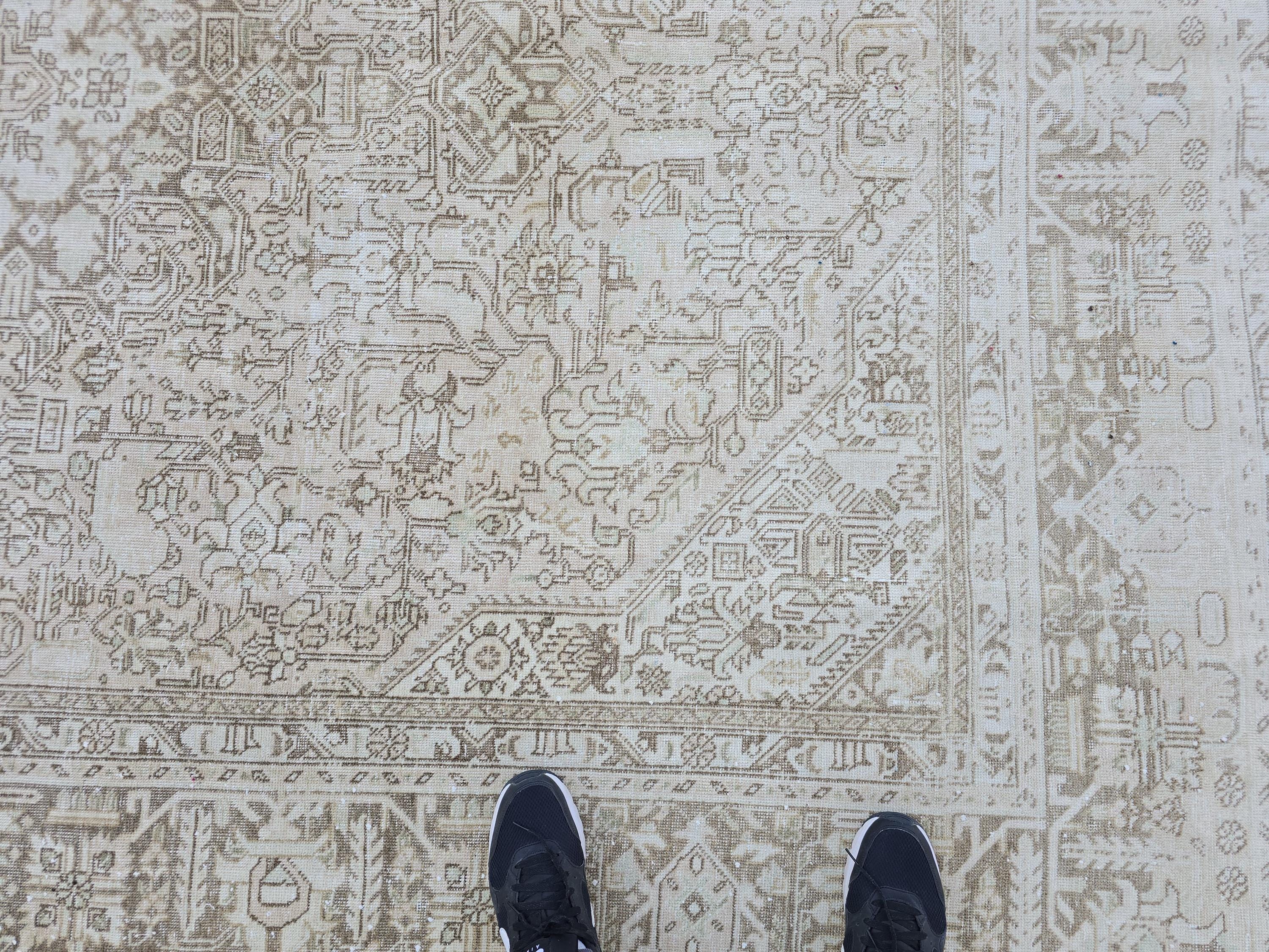 8x11 Neutral Turkish Oushak Rug: Hand-Knotted Wool & Cotton