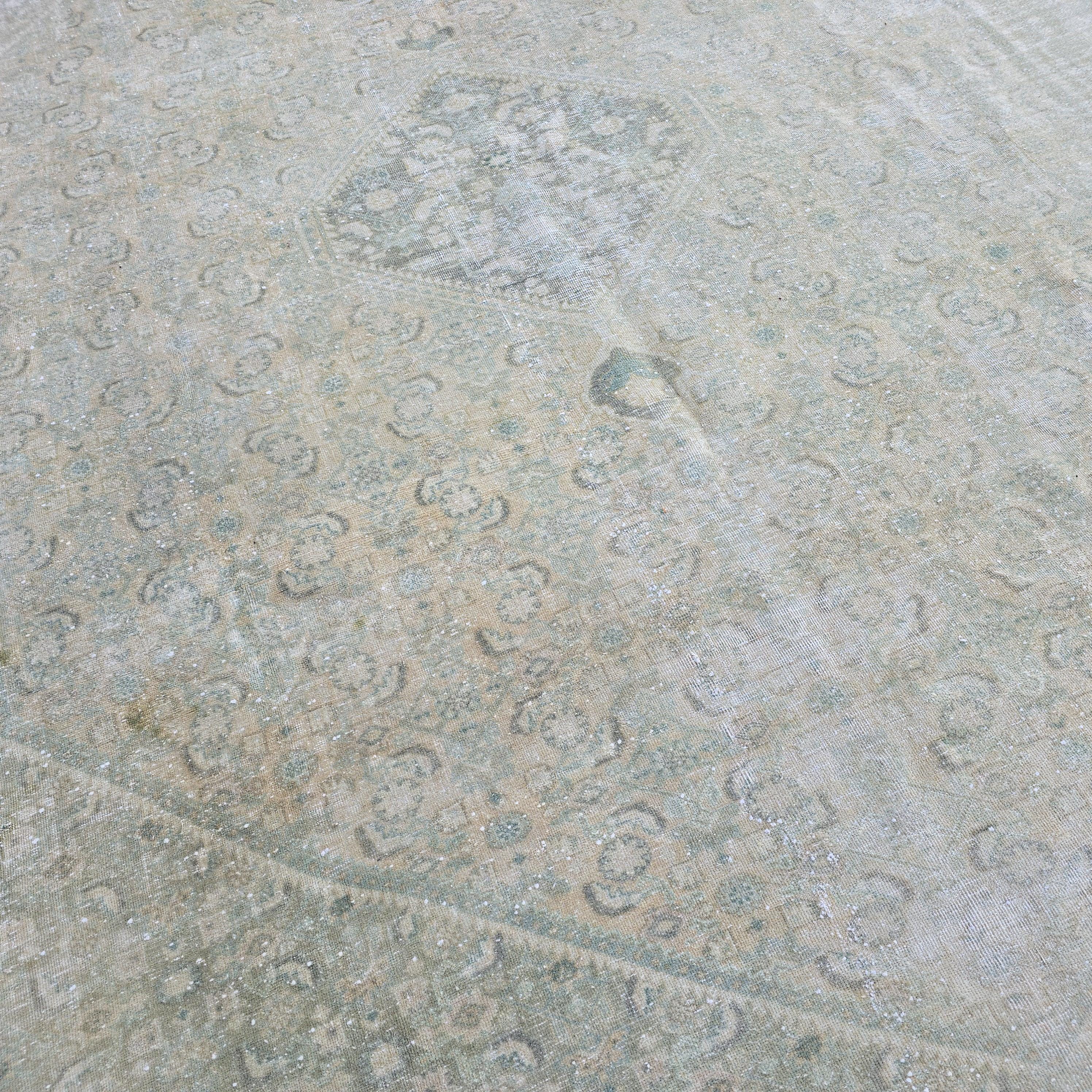 9x12 Neutral Oushak Rug/ Classic Vintage Oriental rug