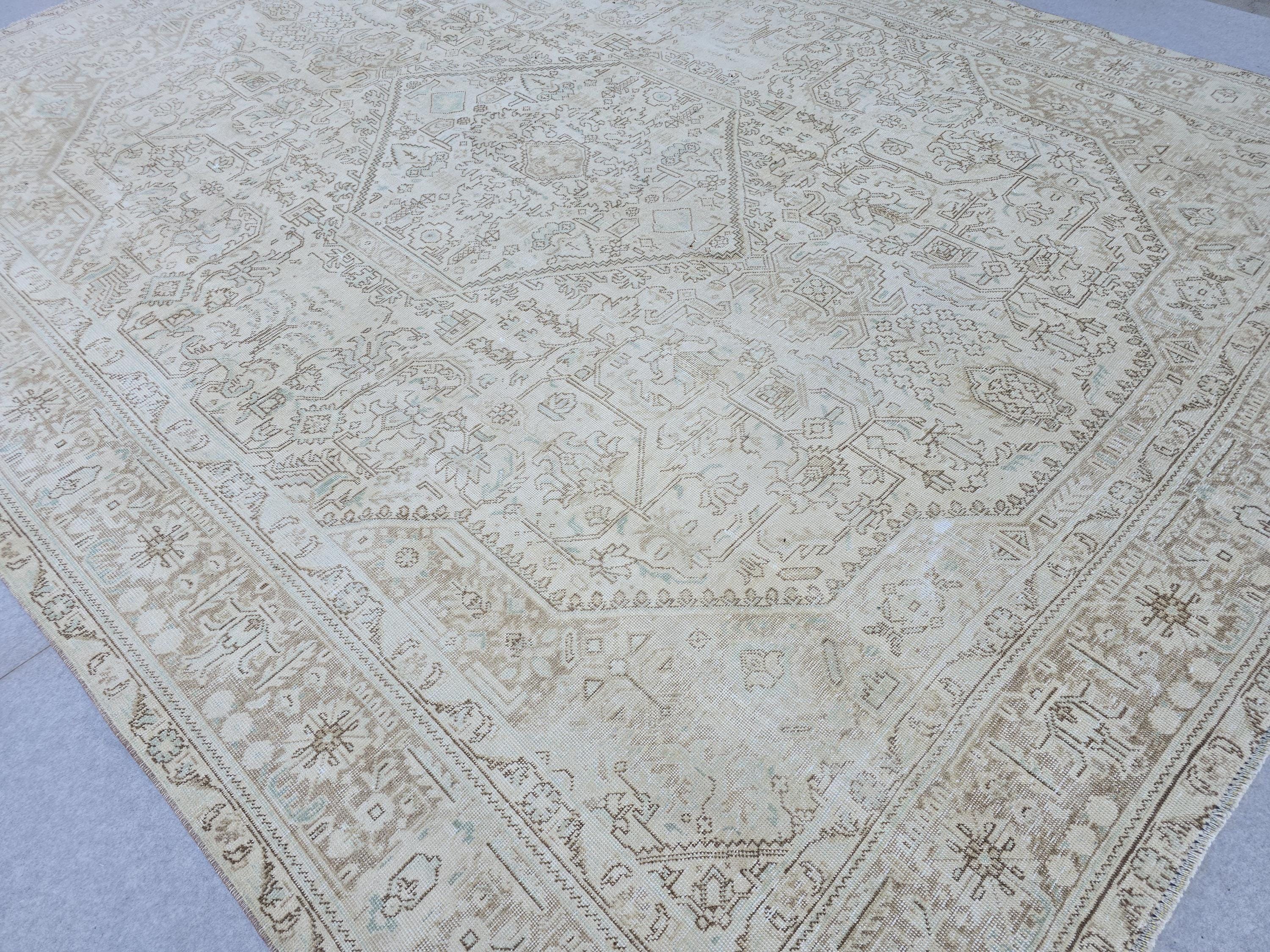 Oversized Vintage Rug 10x12 Persian Oushak Medallion Hand Knotted Neutral Wool