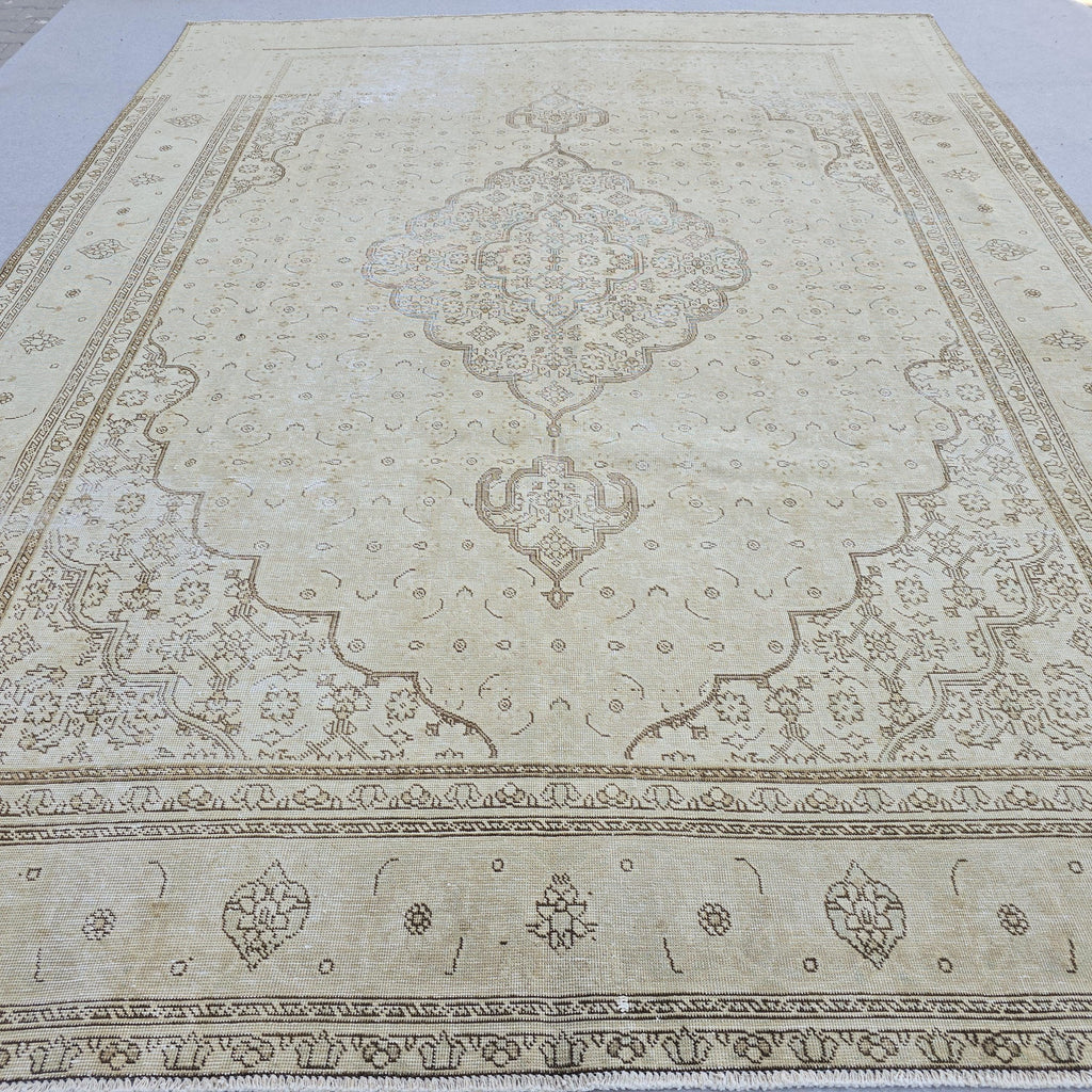Vintage Rug 9x12 | Large Medallion Area Rug | Hand Knotted Neutral Persian Style Living Room