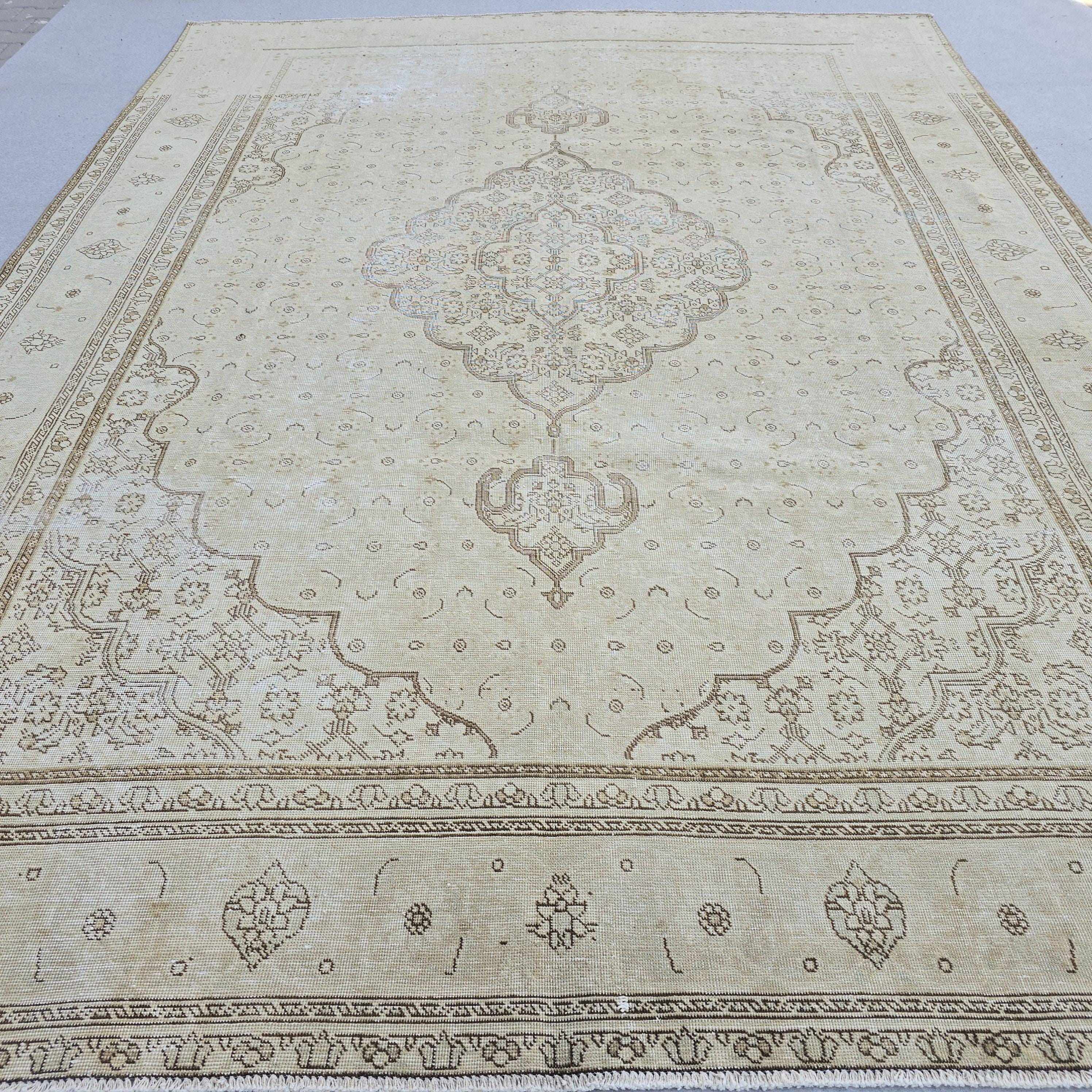 Vintage Rug 9x12 | Large Medallion Area Rug | Hand Knotted Neutral Persian Style Living Room