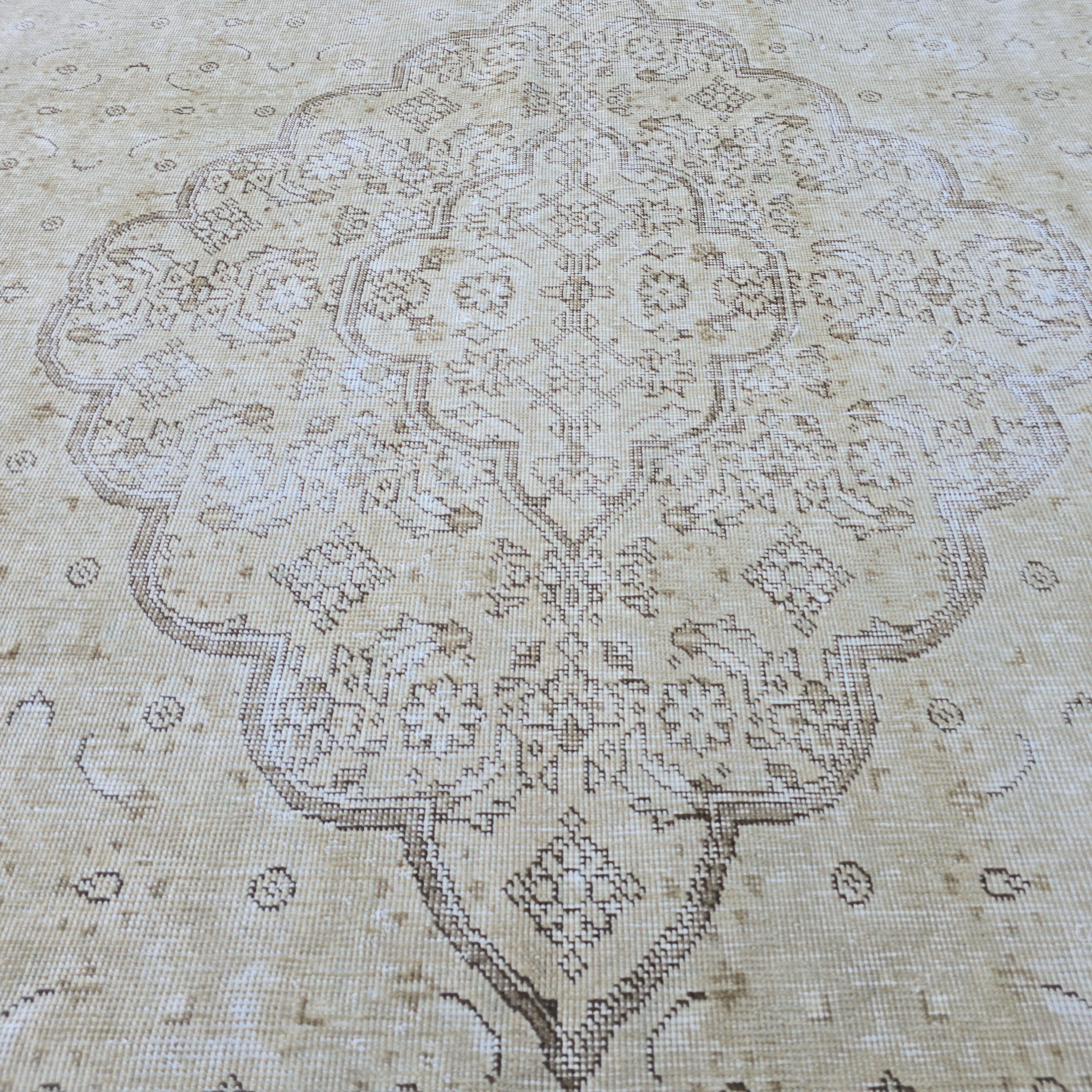Vintage Rug 9x12 | Large Medallion Area Rug | Hand Knotted Neutral Persian Style Living Room