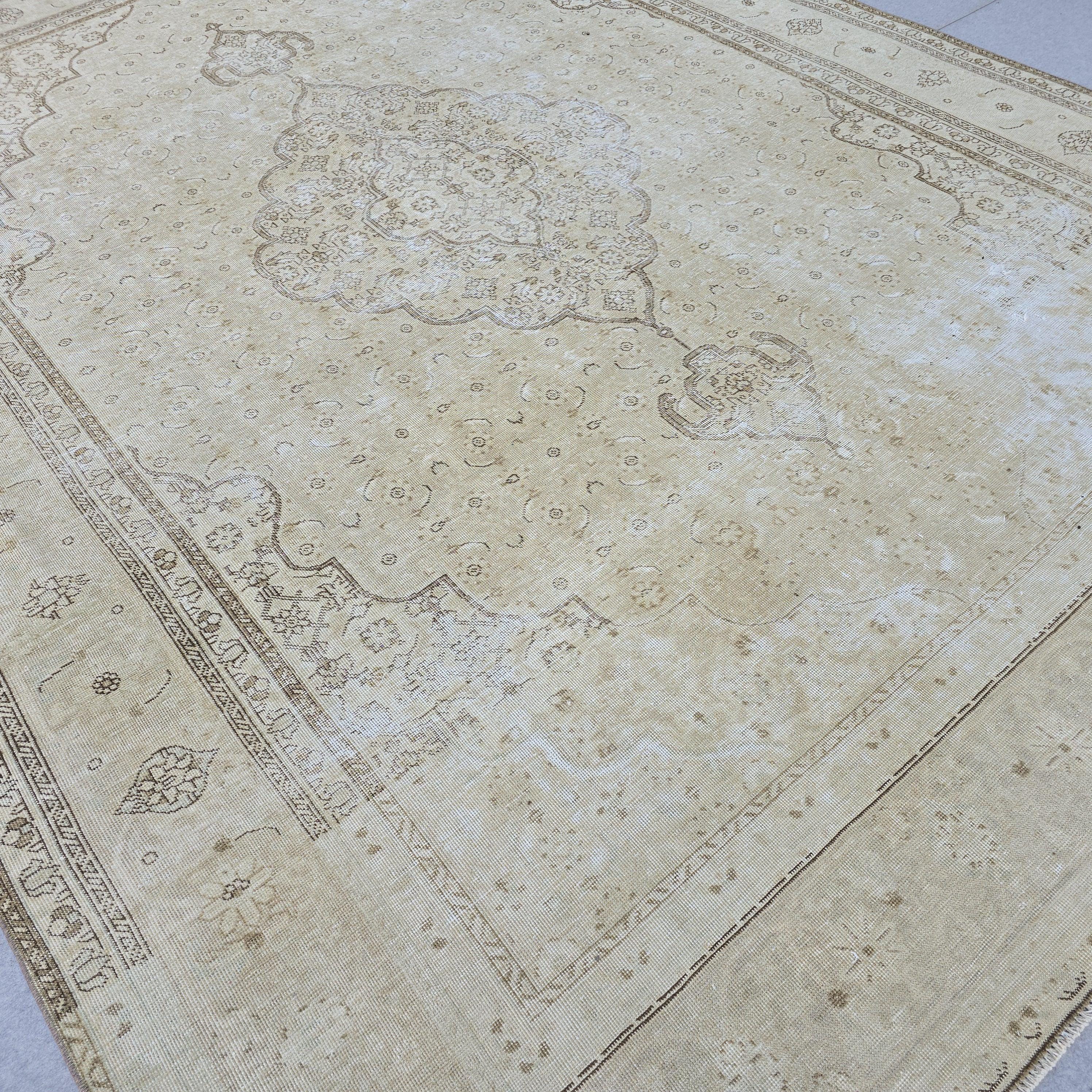 Vintage Rug 9x12 | Large Medallion Area Rug | Hand Knotted Neutral Persian Style Living Room