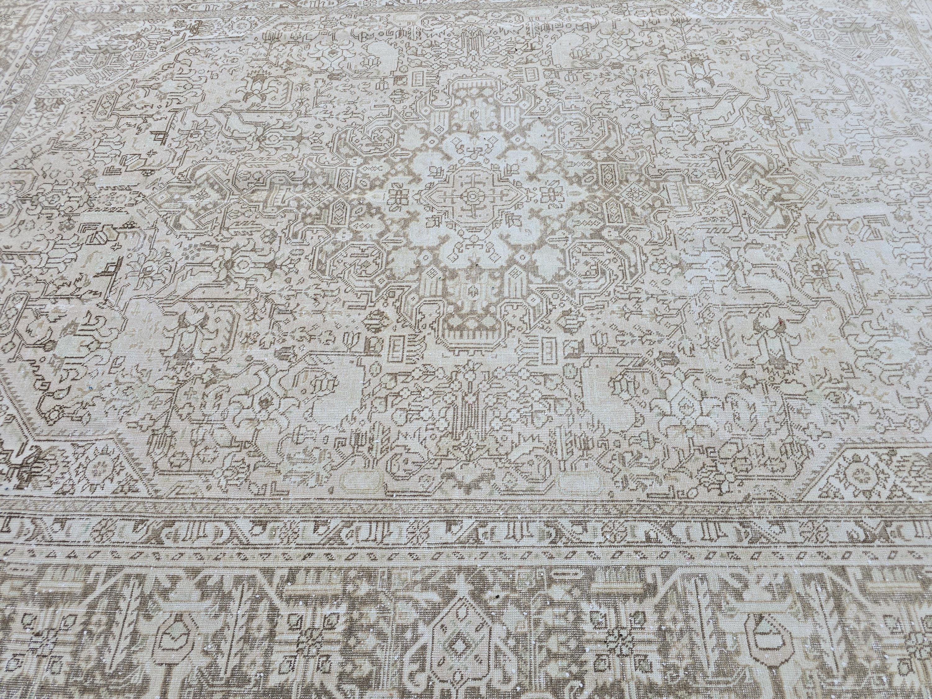 8x11 Neutral Turkish Oushak Rug: Hand-Knotted Wool & Cotton