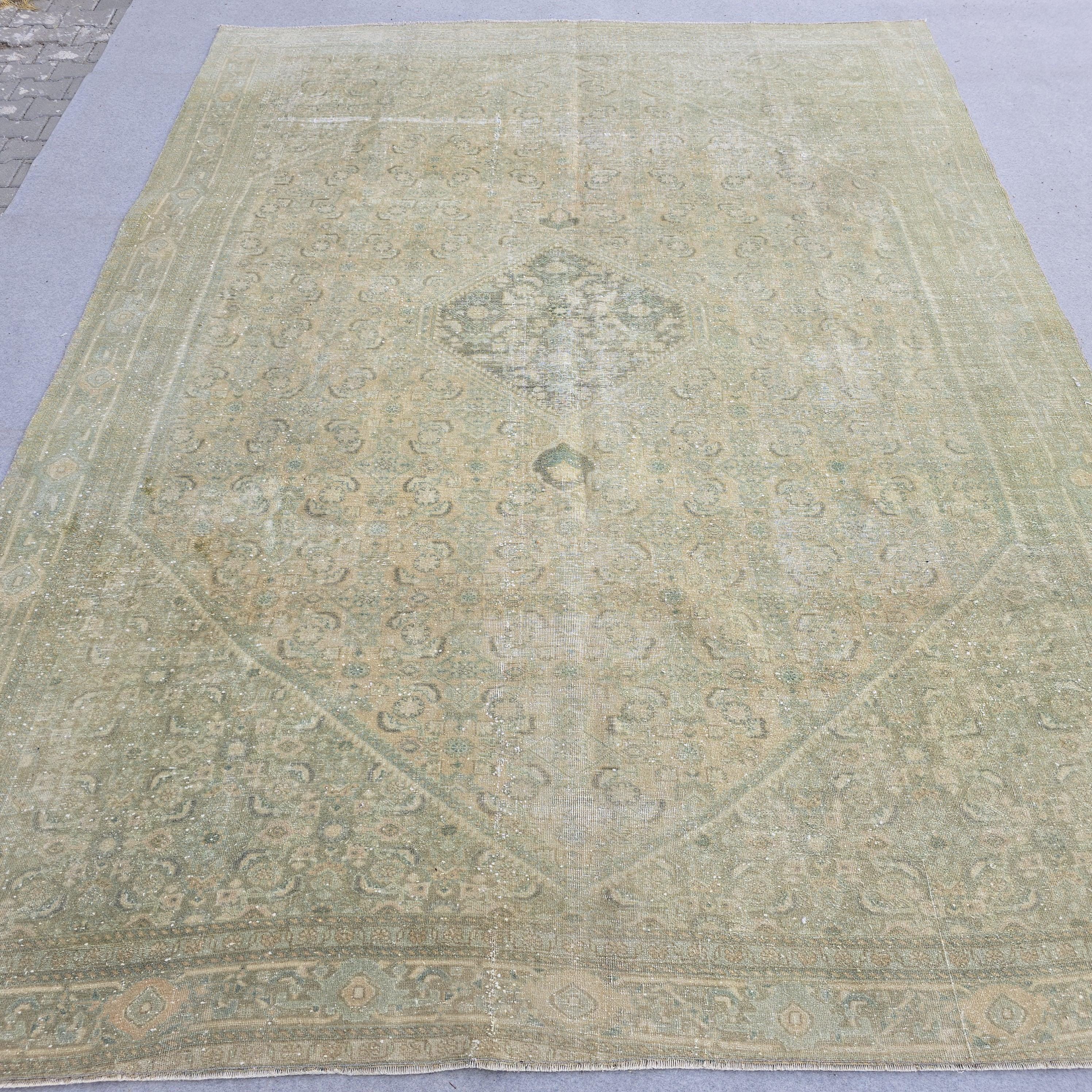 9x12 Neutral Oushak Rug/ Classic Vintage Oriental rug