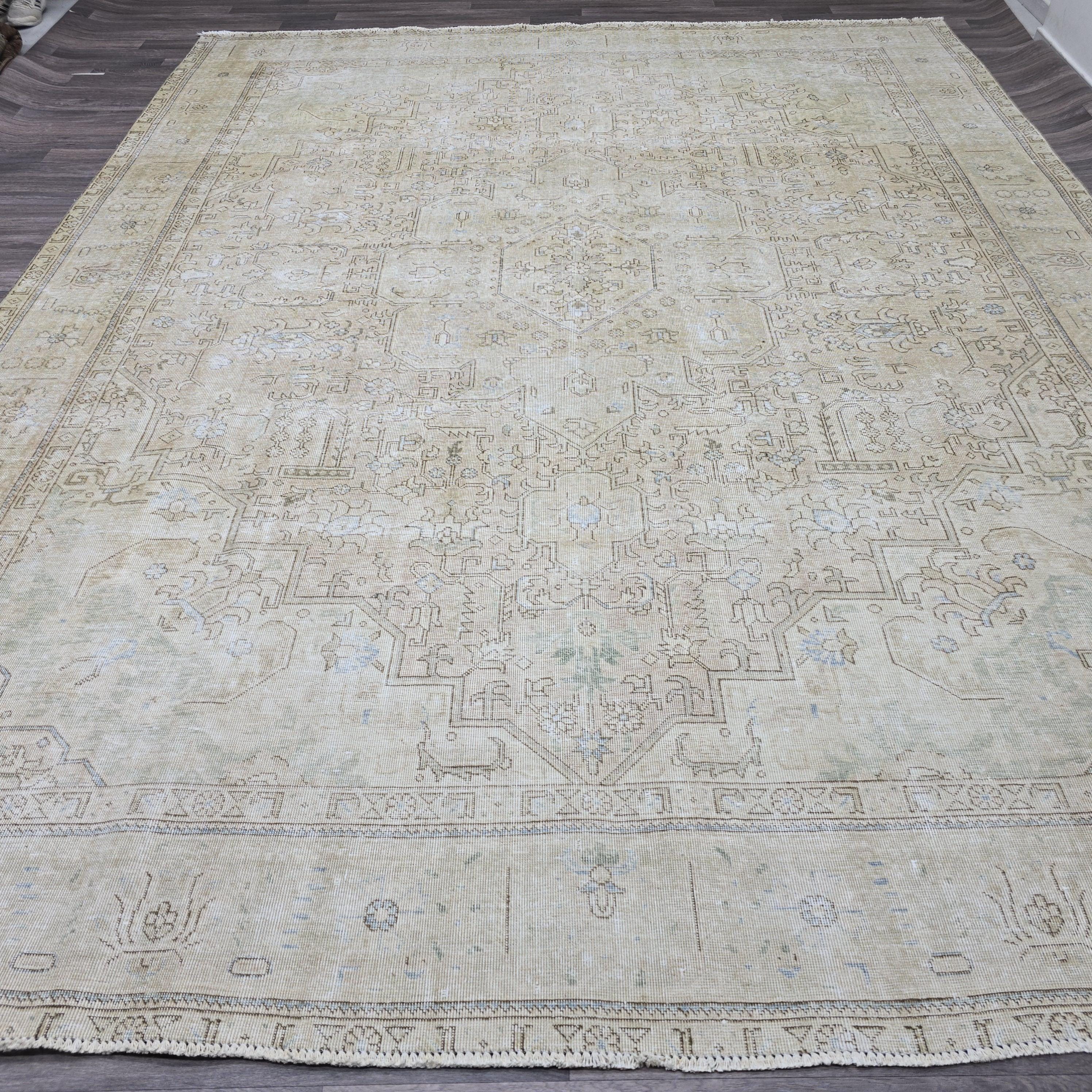 Large Persian Rug 10x12 Vintage Medallion Neutral Area Rug Living Room Decor