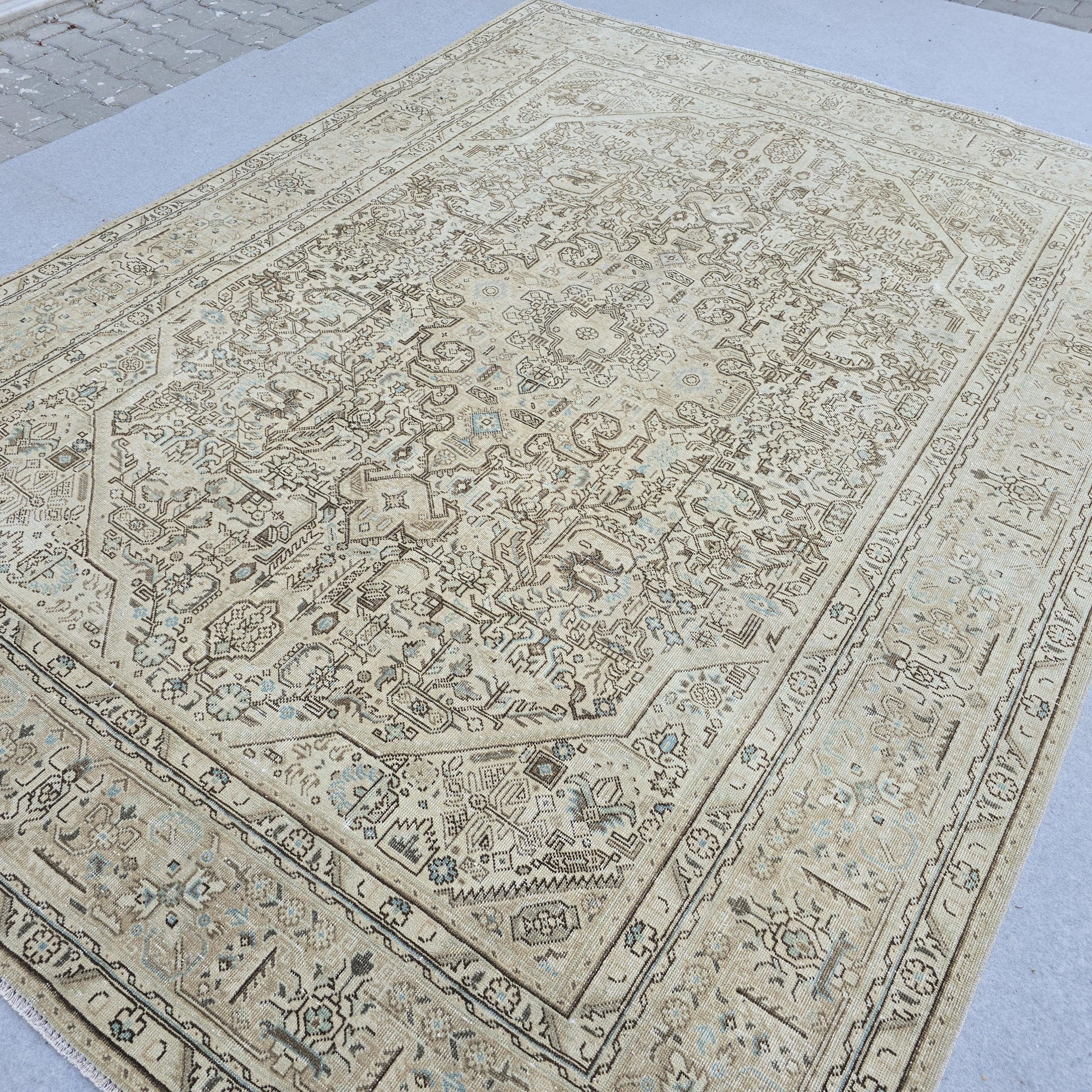 Oushak Rug 8x11 Muted Beige Heriz Medallion Hand Knotted Vintage Wool Area Carpet