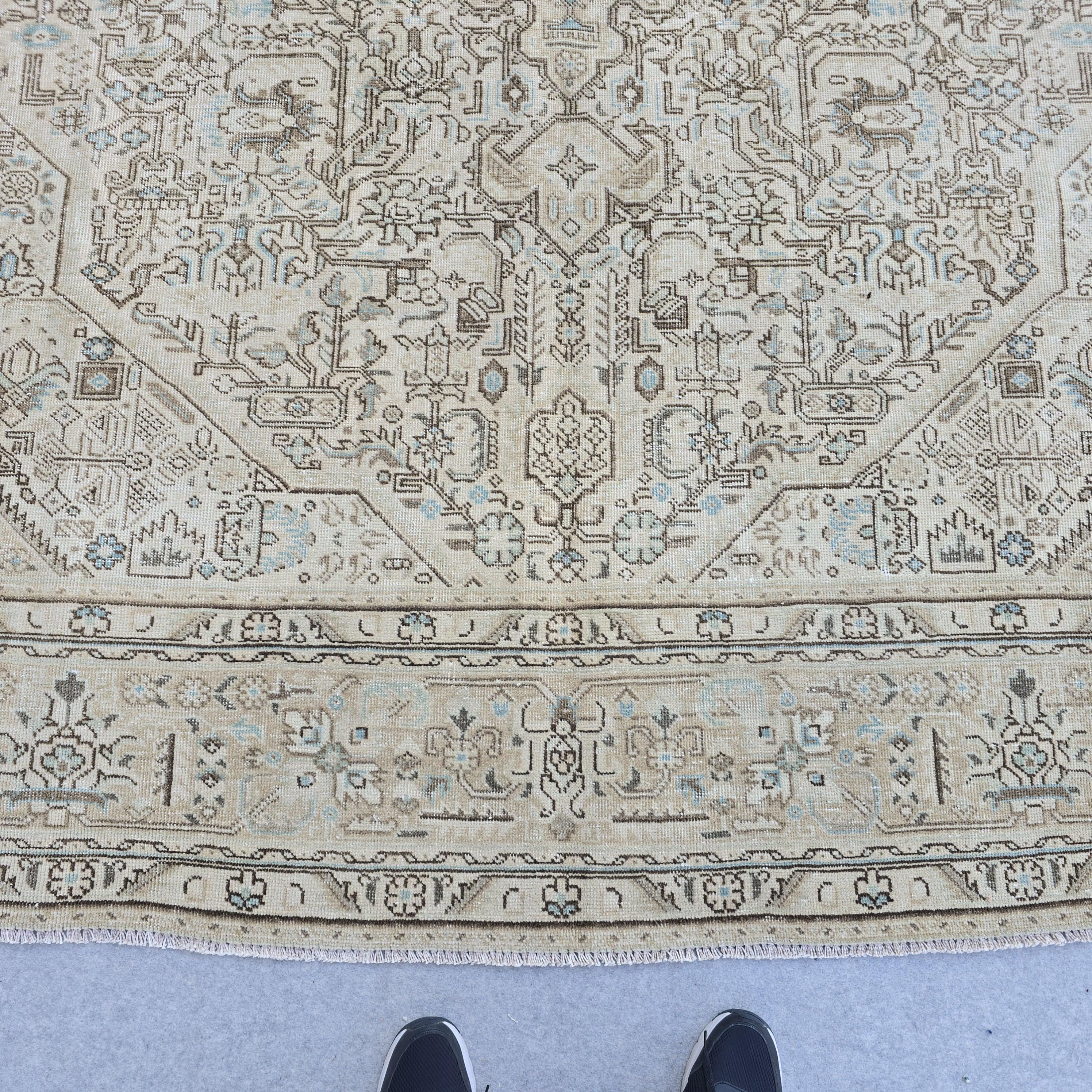 Oushak Rug 8x11 Muted Beige Heriz Medallion Hand Knotted Vintage Wool Area Carpet