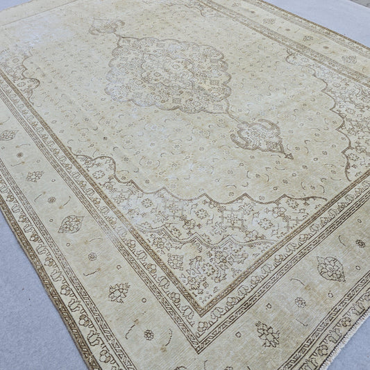 Vintage Rug 9x12 | Large Medallion Area Rug | Hand Knotted Neutral Persian Style Living Room