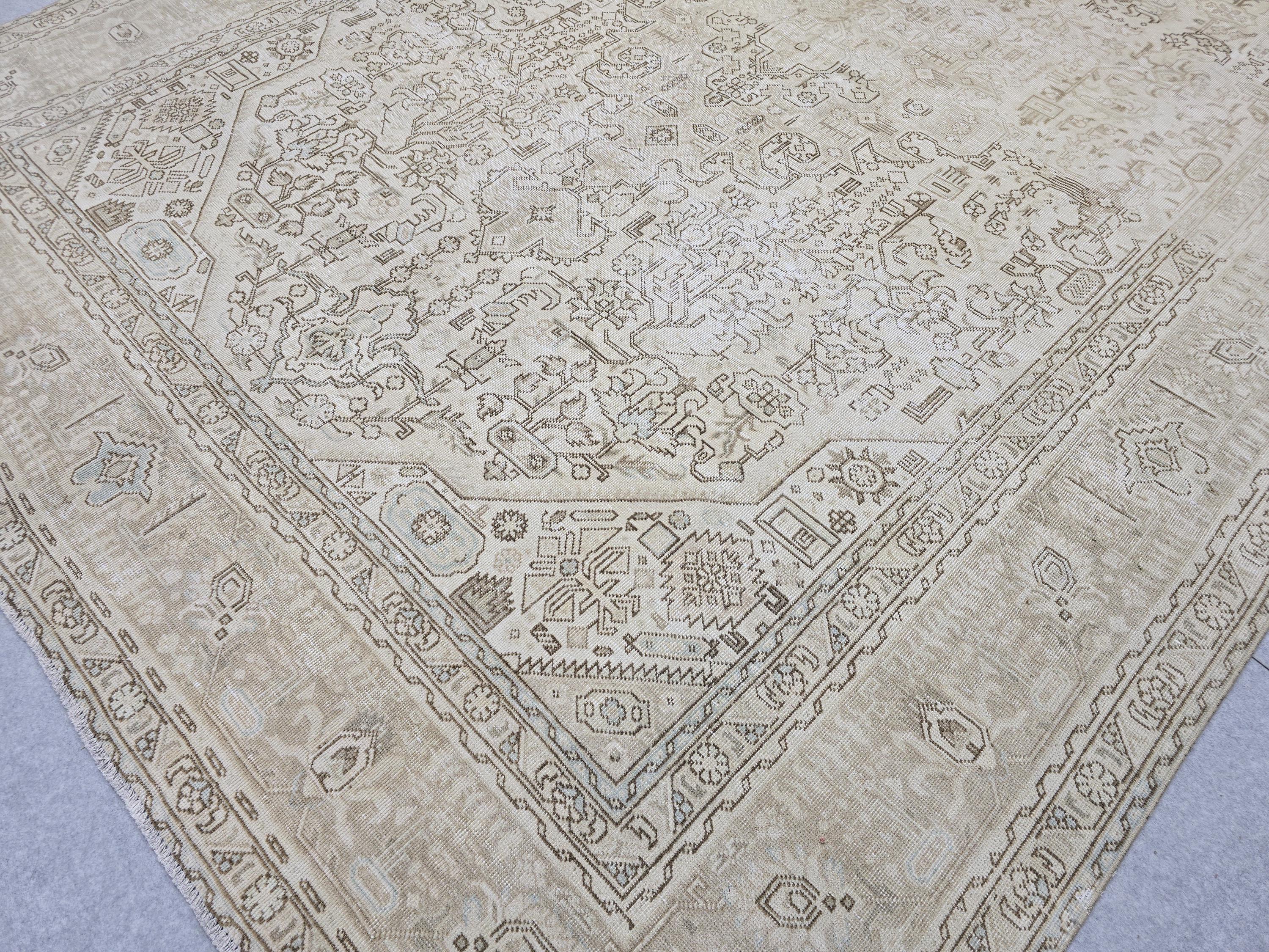 Oushak Rug 9x12, Antique Beige Medallion Wool Carpet, Muted Tan Hand Knotted Vintage Area Rug for Office or Living Room